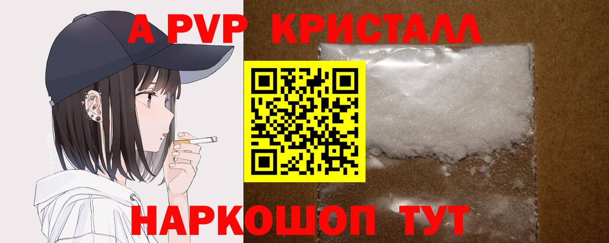 A PVP СК КРИС Котлас