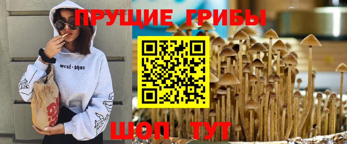 Галлюциногенные грибы GOLDEN TEACHER Котлас